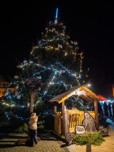 Rozsvěcení vánočního stromu 2025